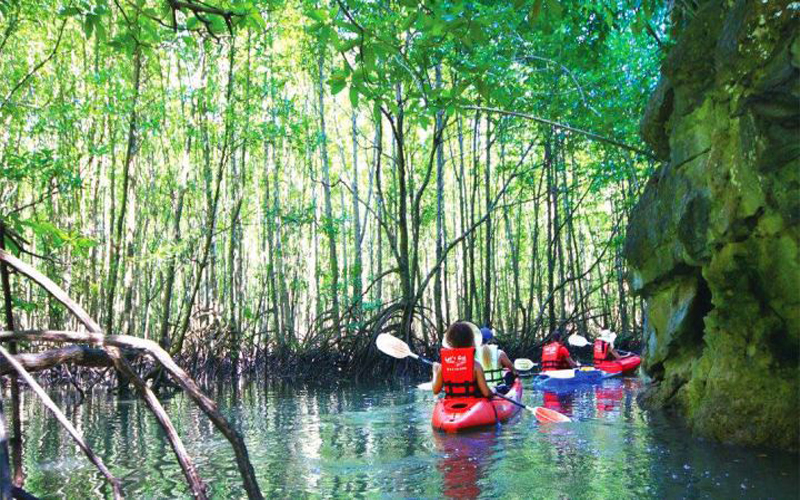 Kayaking Half Day at Ao Thalane/Morning Time No Food