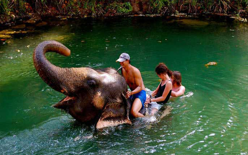 Kayaking Full Day At Ao Thalane With Elephant