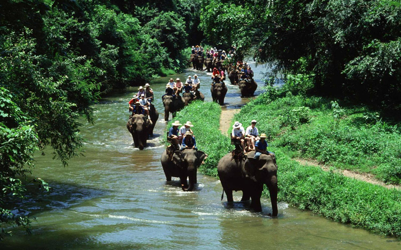 Kayaking Full Day at Bor Thor With Elephant