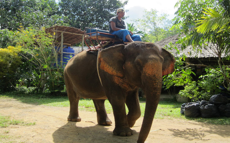 Kayaking Full Day at Bor Thor With Elephant