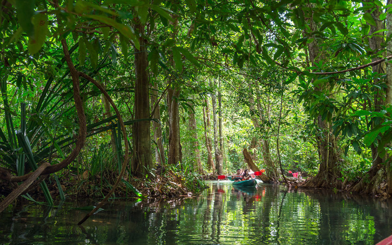 Kayaking Full Day at Klong Srakaew ATV With Lunch