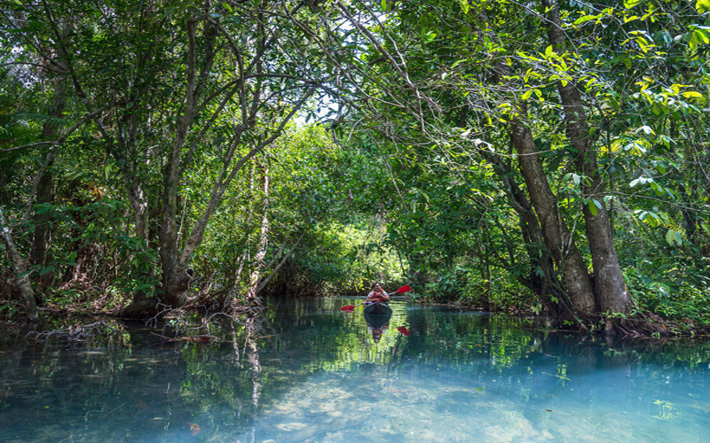 Kayaking Full Day Ao Thalane Klong Srakaew with Lunch