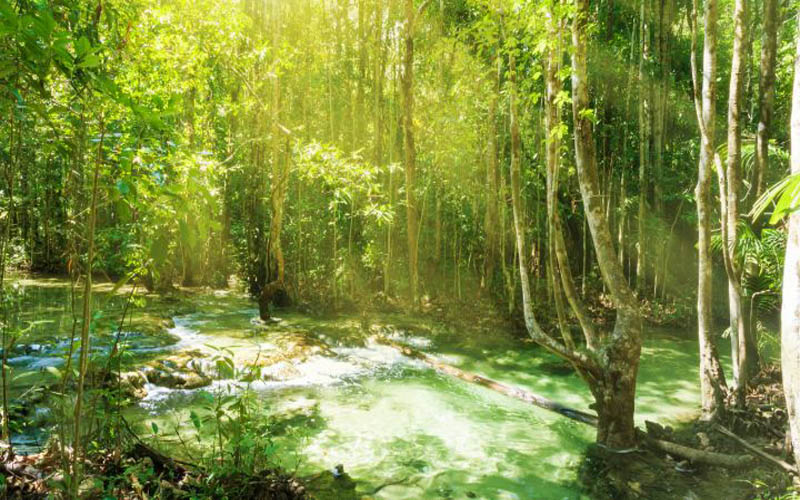 Full Day Hot Spring Waterfall & Emerald Pool ATV Adventure