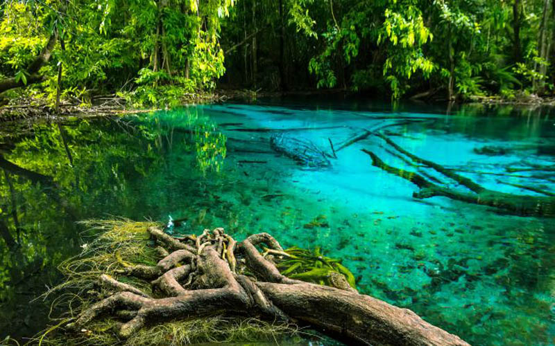 Full Day Hot Spring Waterfall & Emerald Pool Tiger Cave Temple Elephant Treaking