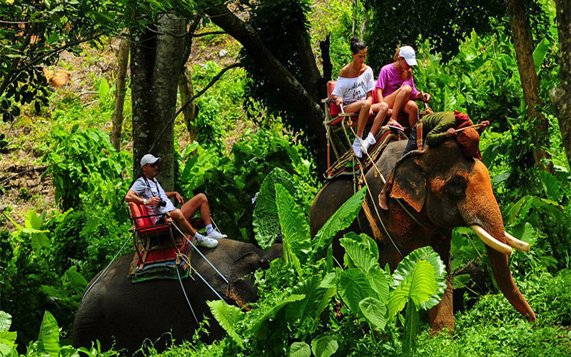 Full Day Hot Spring Waterfall & Emerald Pool Tiger Cave Temple Elephant Treaking