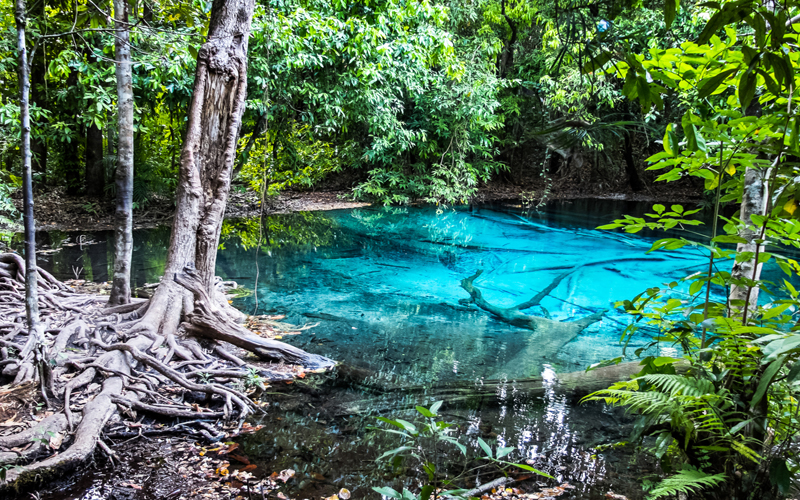 Full Day Hot Spring Waterfall & Emerald Pool Tiger Cave Temple