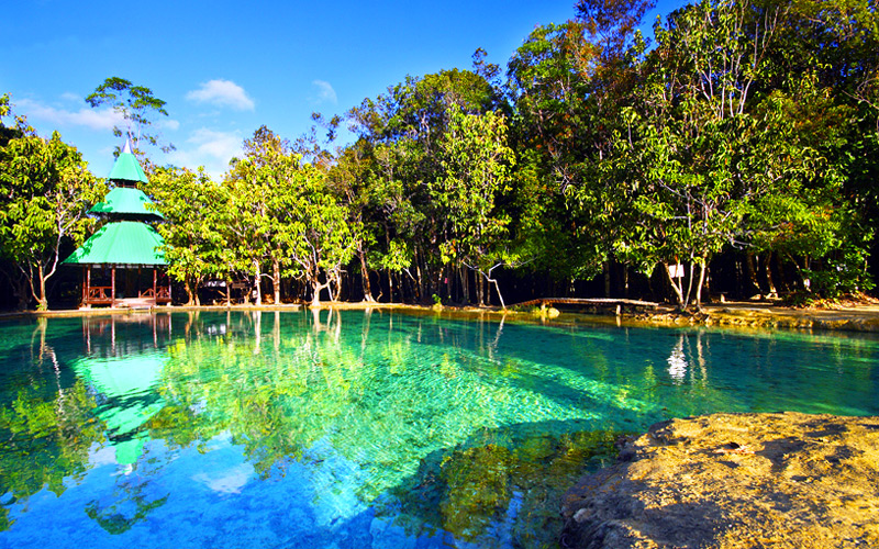 Half Day Hot Spring Waterfall & Emerald Pool Elephant Treaking