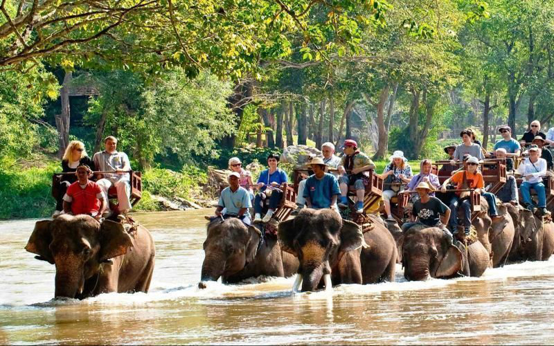 Half Day Hot Spring Waterfall & Emerald Pool Elephant Treaking