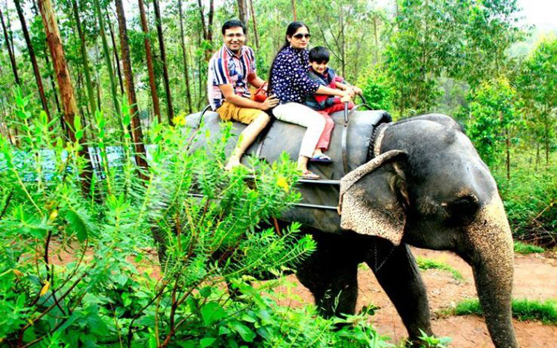 Elephant Trekking 40 Min & ATV Adventure 40 Min No Lunch
