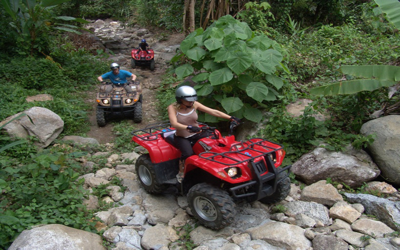 Elephant Trekking 40 Min & ATV Adventure 40 Min No Lunch