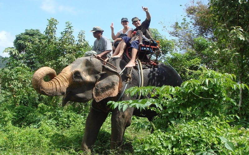 Elephant Trekking & Baby Show Half Day No Lunch