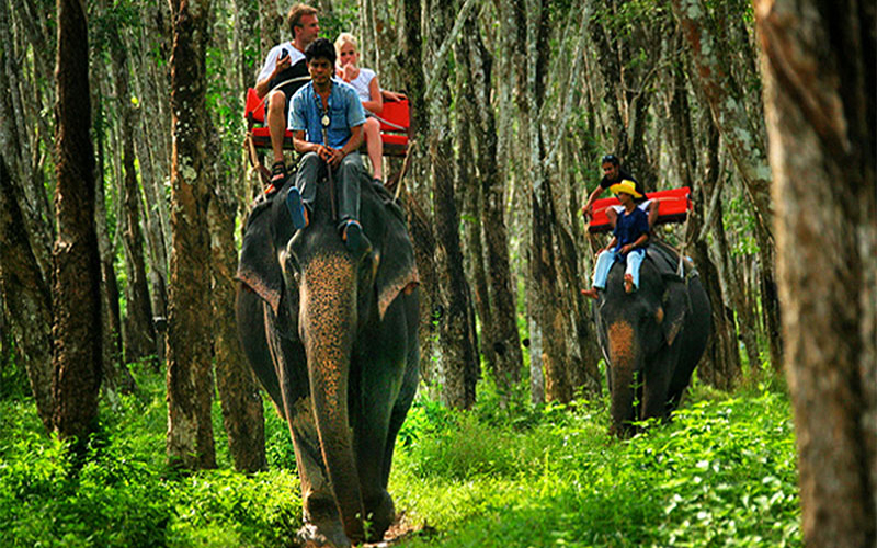 Elephant Trekking & Huay Tho Waterfall Half Day No Lunch