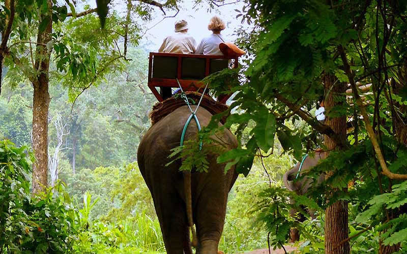 Elephant Trekking & Huay Tho Waterfall Half Day No Lunch