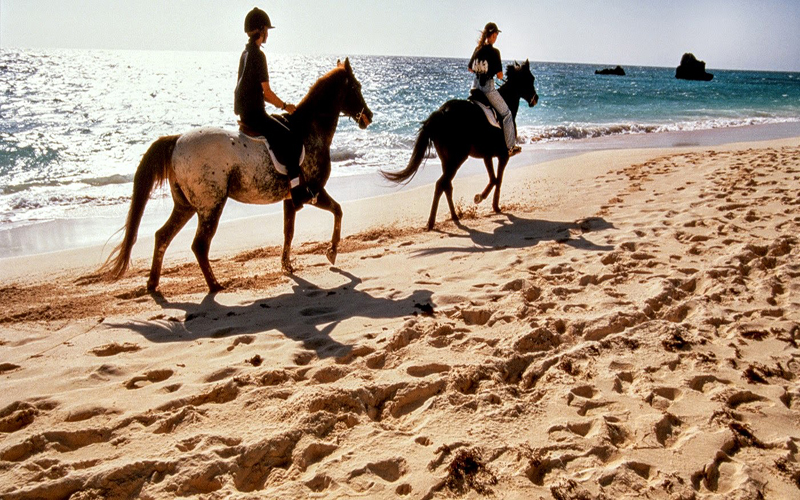 Horse Ridding