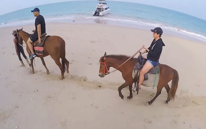 Horse Ridding