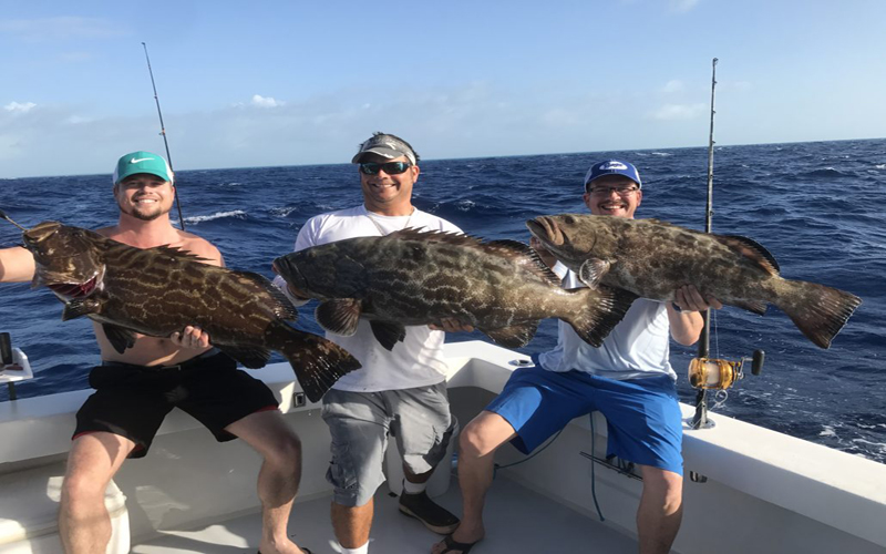 Full Day Fishing By Big Boat Fishing And Snorkeling at 4 Island