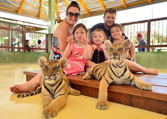 Ziplines Adventure with Tiger Kingdom