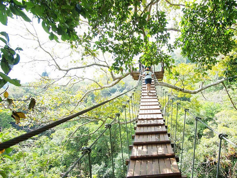 Flying Hanuman Ziplines