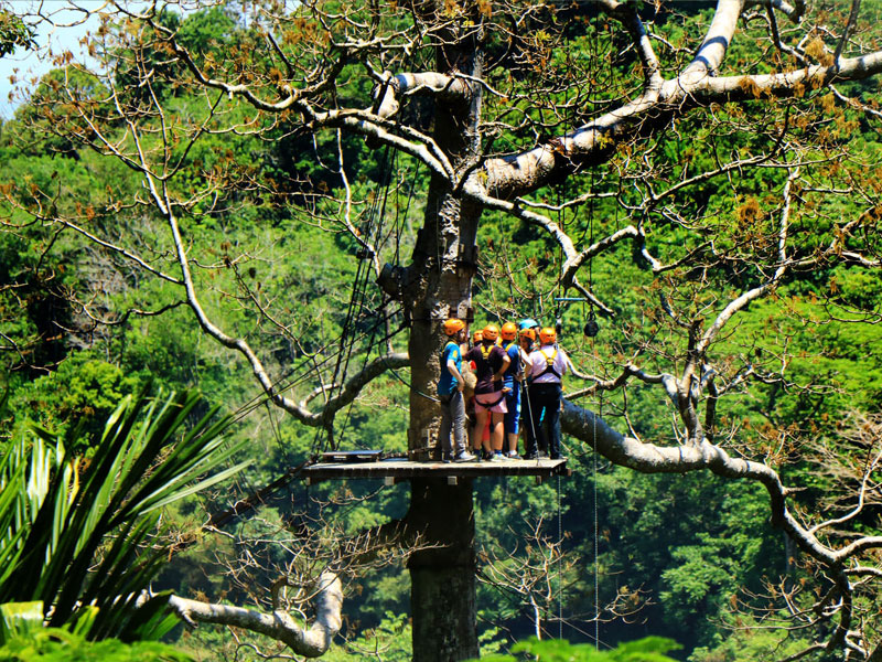 Flying Hanuman Ziplines