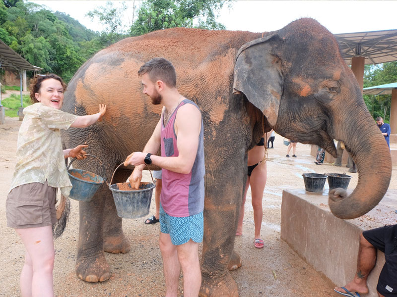 Phuket Elephant Care Sanctuary Tour