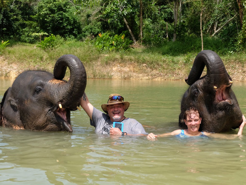 Phuket Elephant Care Sanctuary Tour