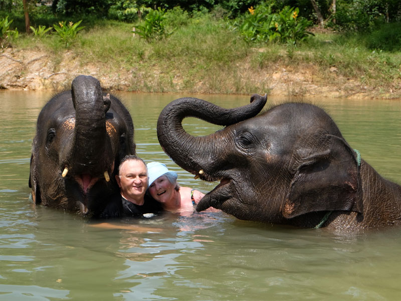 Phuket Elephant Care Sanctuary Tour