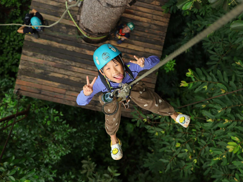 Ziplines Adventure with Tiger Kingdom