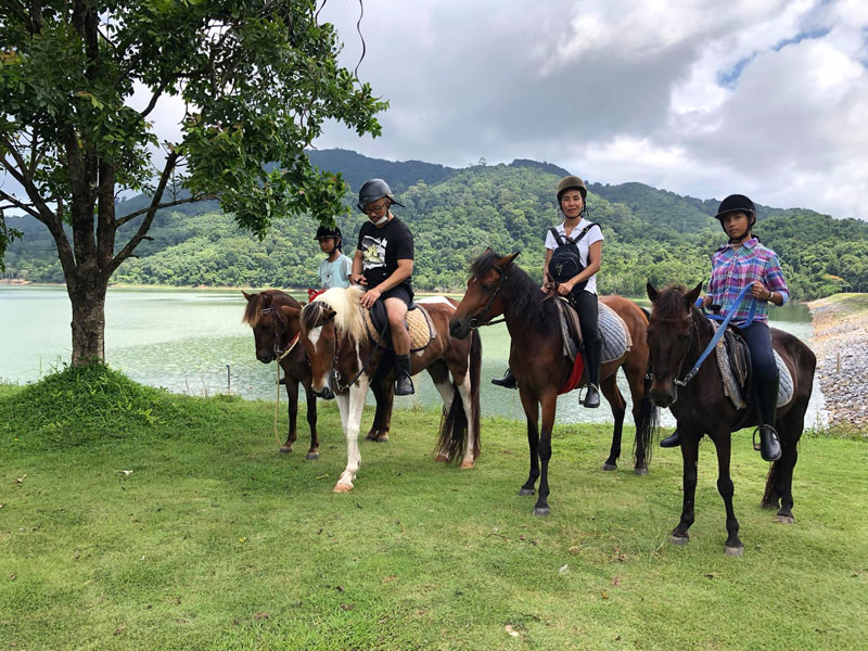 Phuket Horse Ridding
