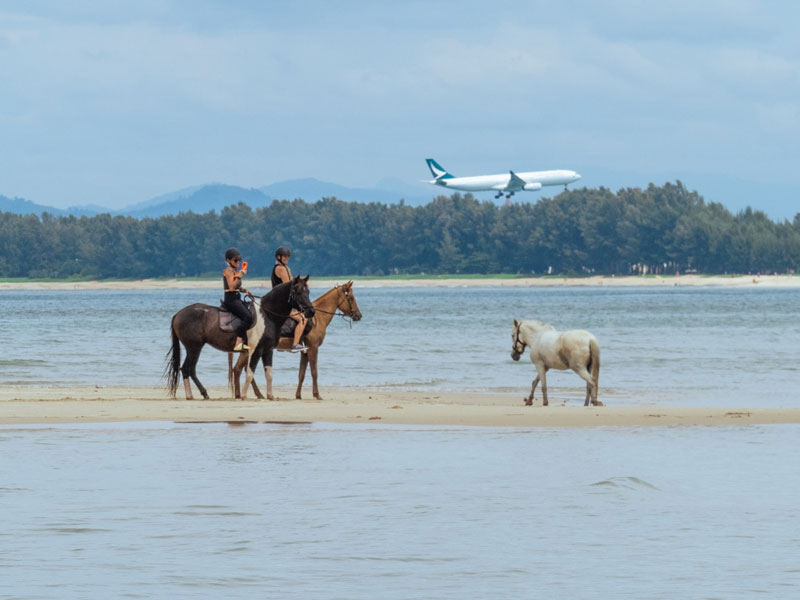Phuket Horse Ridding