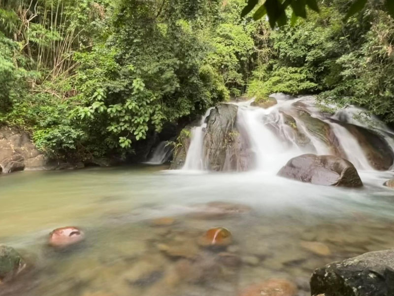 Private Khao Lak Jungle Safari Tour