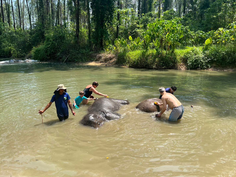 Private Khao Lak Jungle Safari Tour