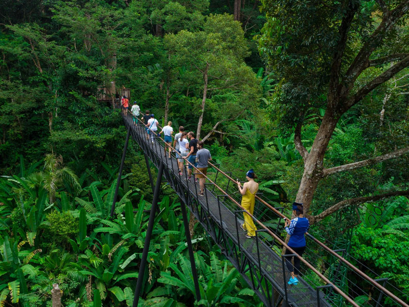 Hanuman World – Forest Zipline, Roller Zipline, Skywalk and Slingshot