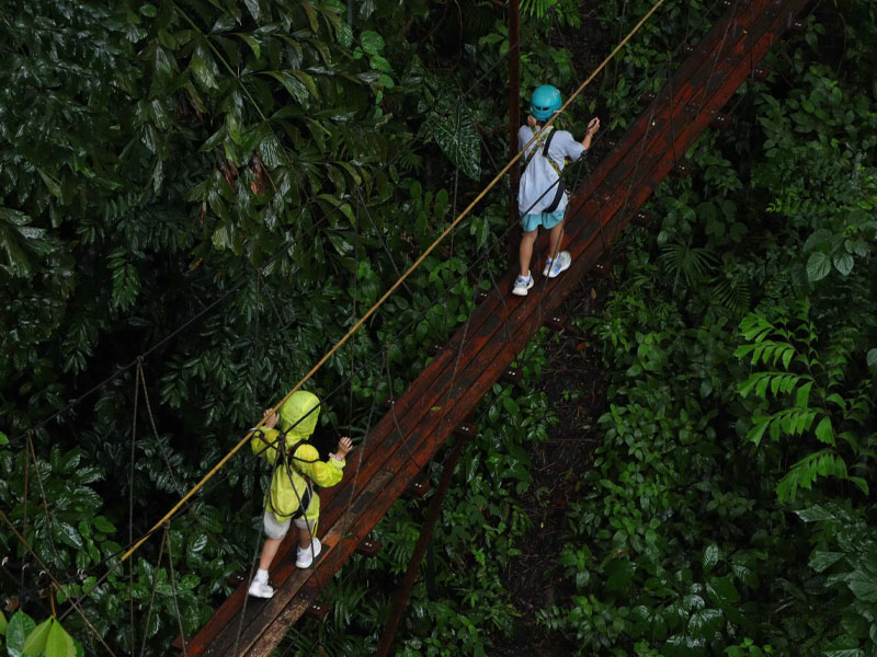Hanuman World – Forest Zipline, Roller Zipline, Skywalk and Slingshot
