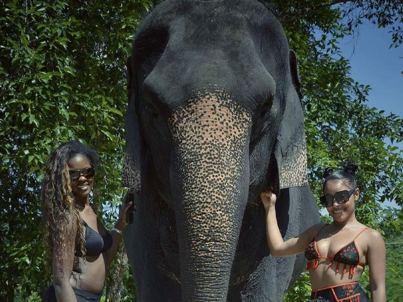 ATV Adventure & Elephant Trekking