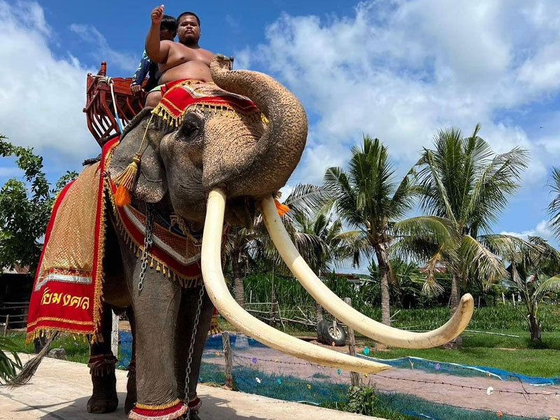 ATV Adventure & Elephant Trekking