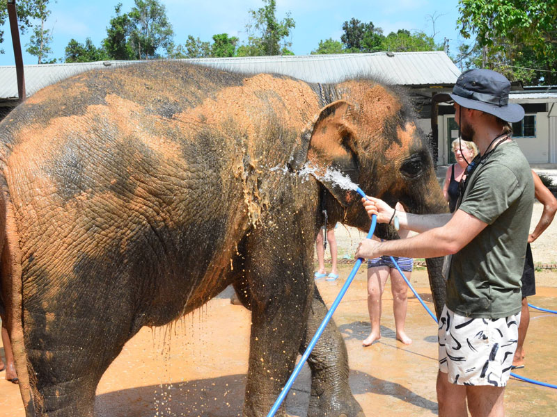 Elephant Keeper for a Day