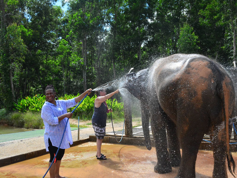 Elephant Keeper for a Day