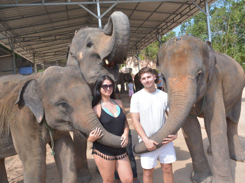 Elephant Keeper for a Day
