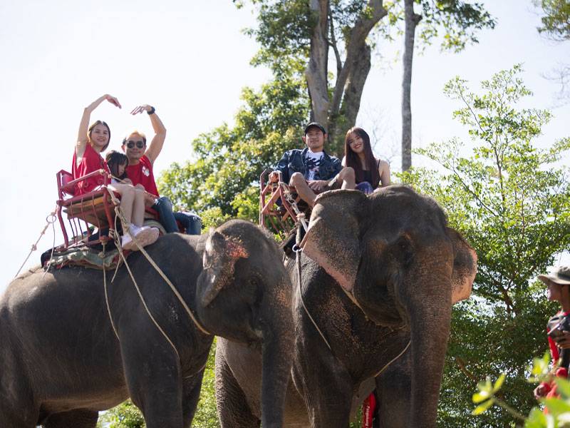 Elephant Trekking Adventure Tour