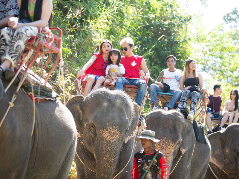 Elephant Trekking Adventure Tour