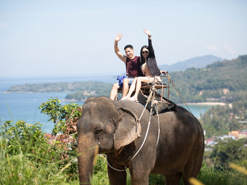 Elephant Trekking Adventure Tour