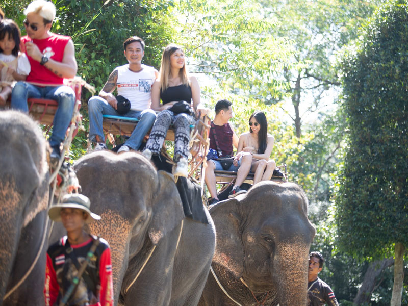 Jungle Rush: Zipline, Elephan & ATV Tours