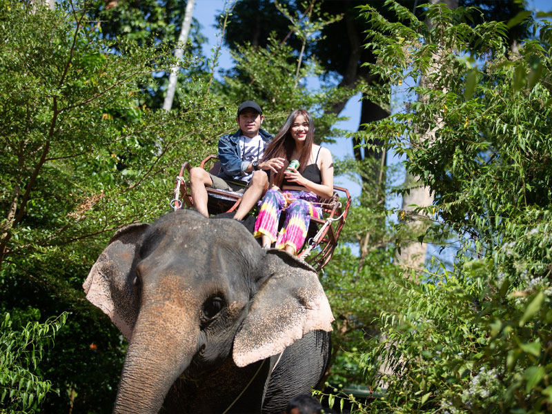 Jungle Rush: Zipline, Elephan & ATV Tours