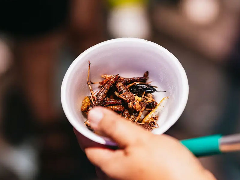 Bangkok Michelin Food Tour by TukTuk