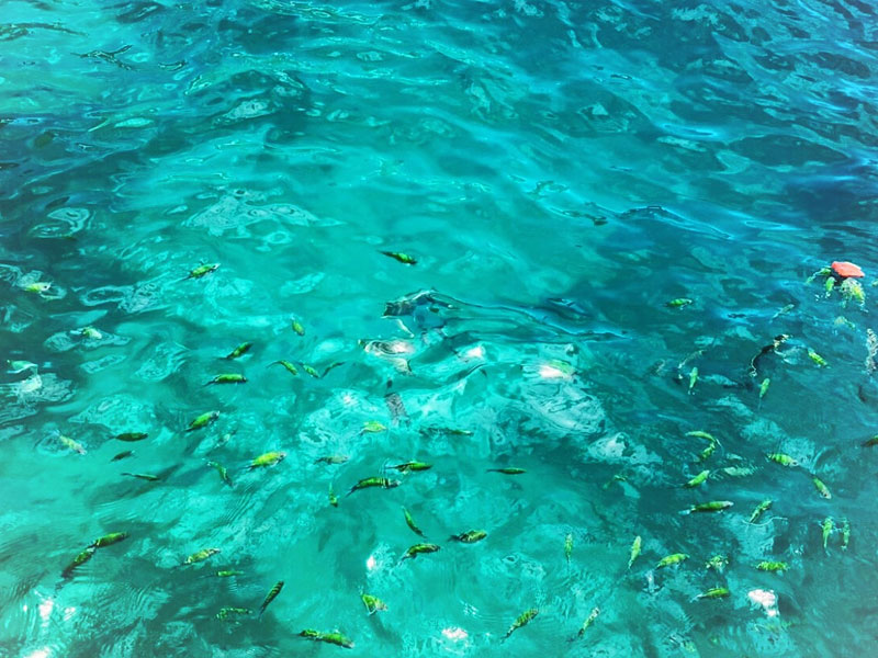 Phi Phi Sunrise Tour by Speed Boat