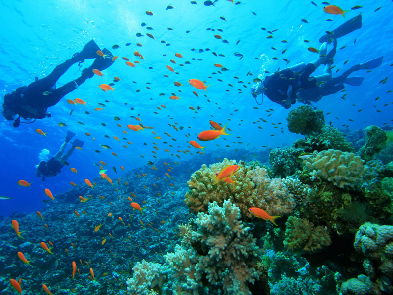 Raya & Coral Islands with Water Sports