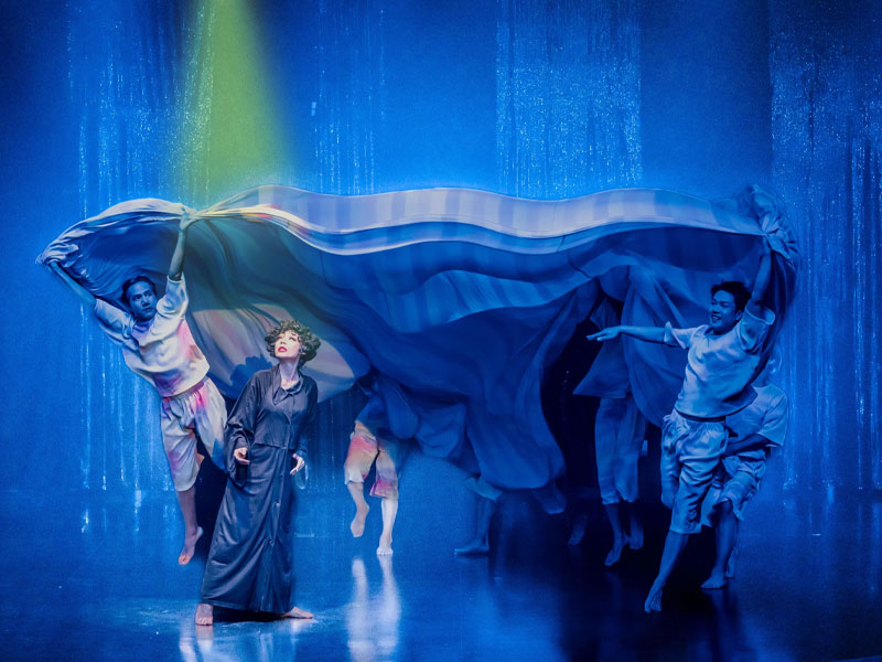 Calypso Cabaret Bangkok: Show Ticket with Optional Dinner