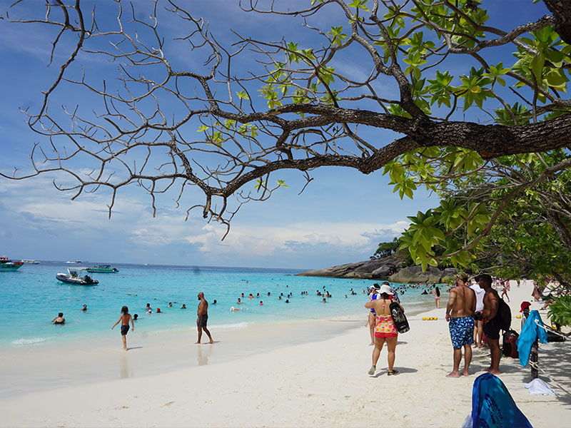 Private Charter to  Similan Islands