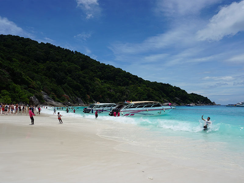 Private Charter to  Similan Islands