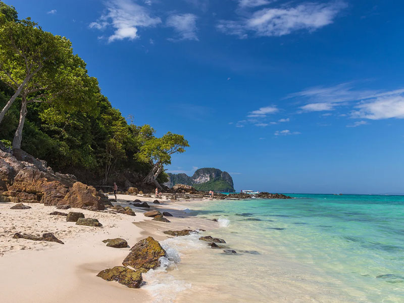 Private Speedboat Charters Phi Phi & Bamboo Islands